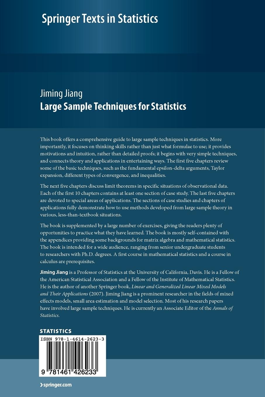 Rückseitencover Large Sample Techniques for Statistics