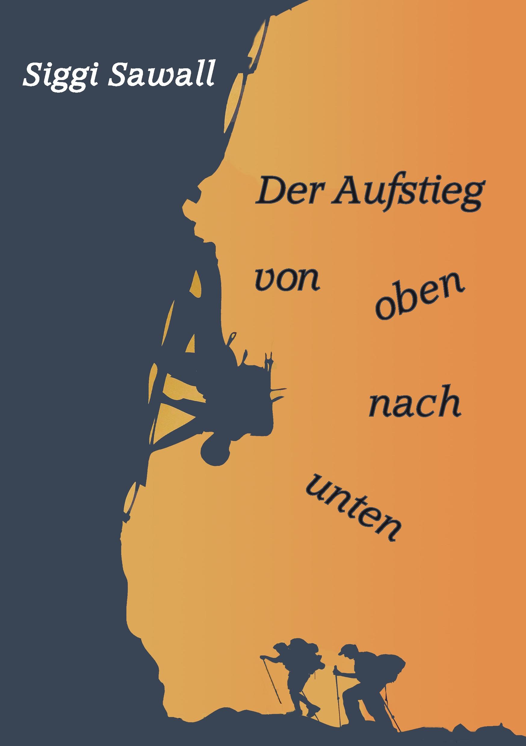 Vorderes Coverbild Der Aufstieg von oben nach unten