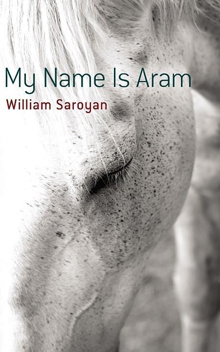 Vorderes Coverbild My Name Is Aram