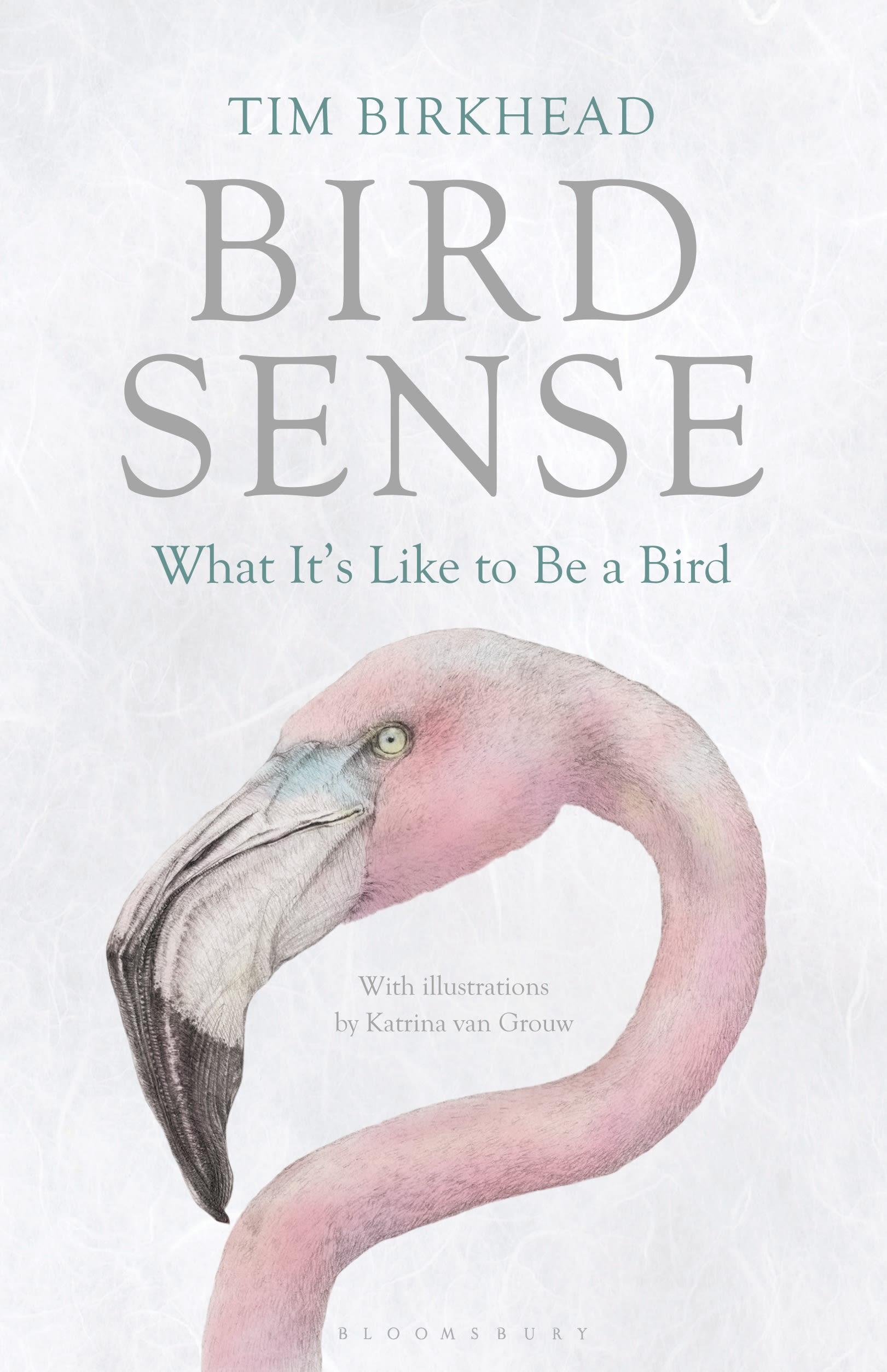 Vorderes Coverbild Bird Sense