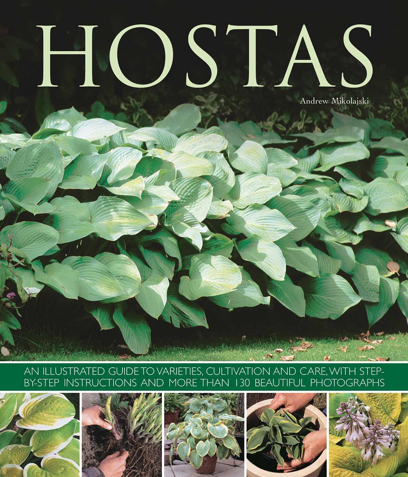 Vorderes Coverbild Hostas