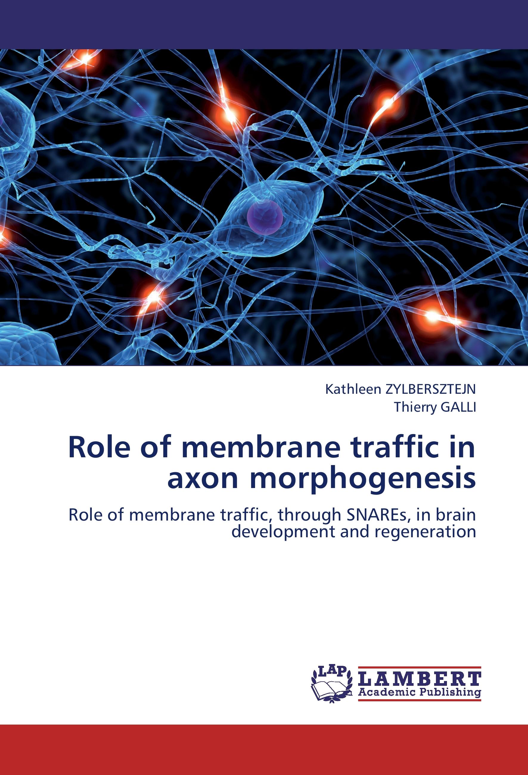 Vorderes Coverbild Role of membrane traffic in axon morphogenesis