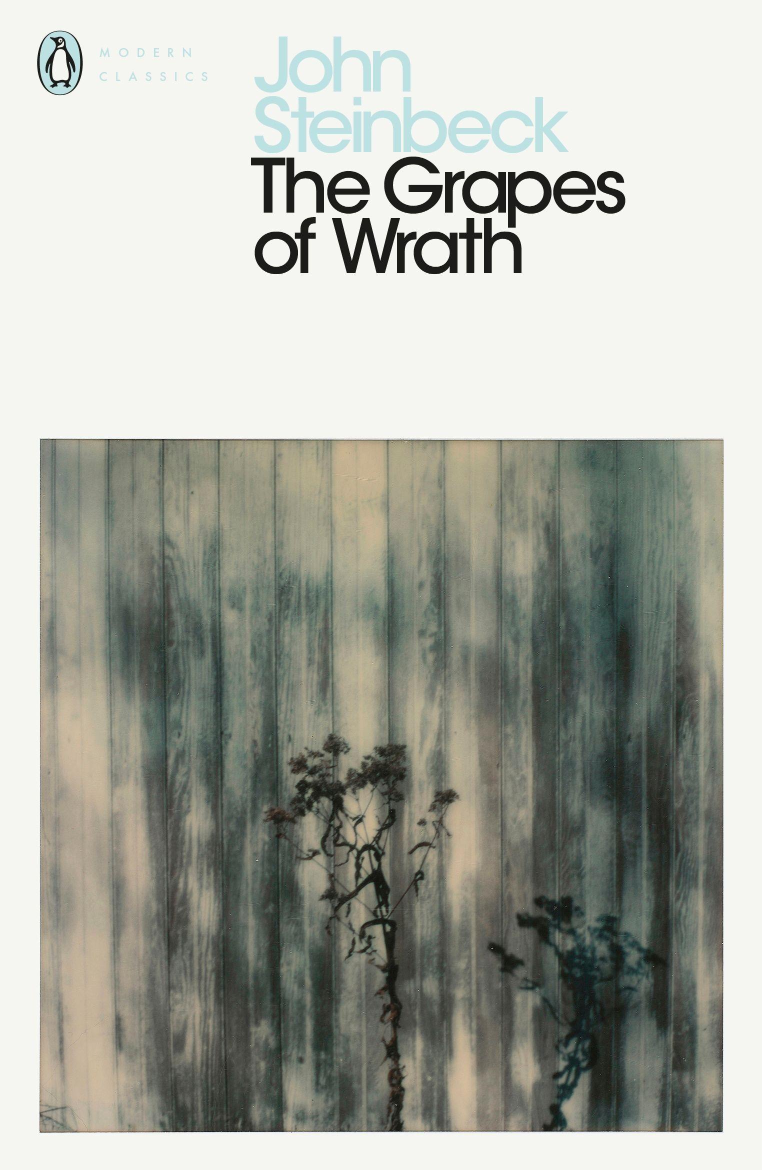 Vorderes Coverbild The Grapes of Wrath