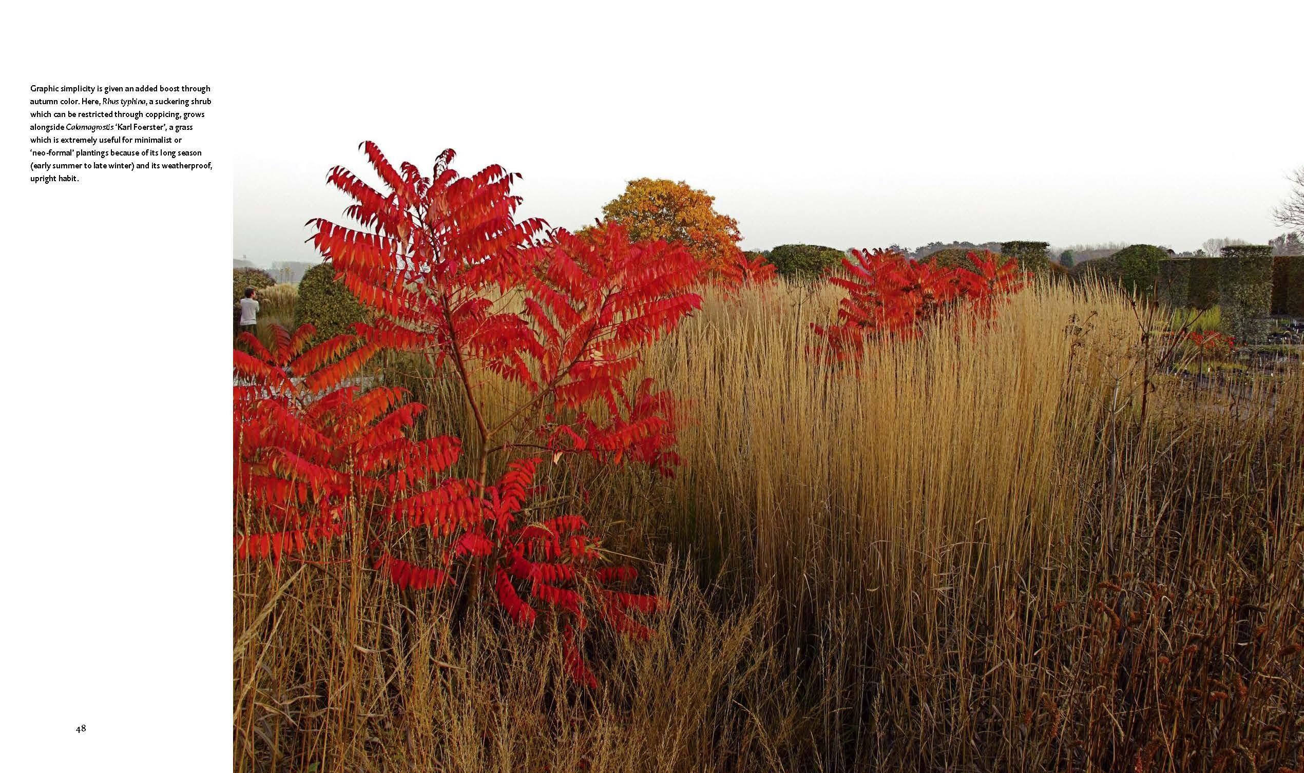 Beispielinhalt (Bild) Planting