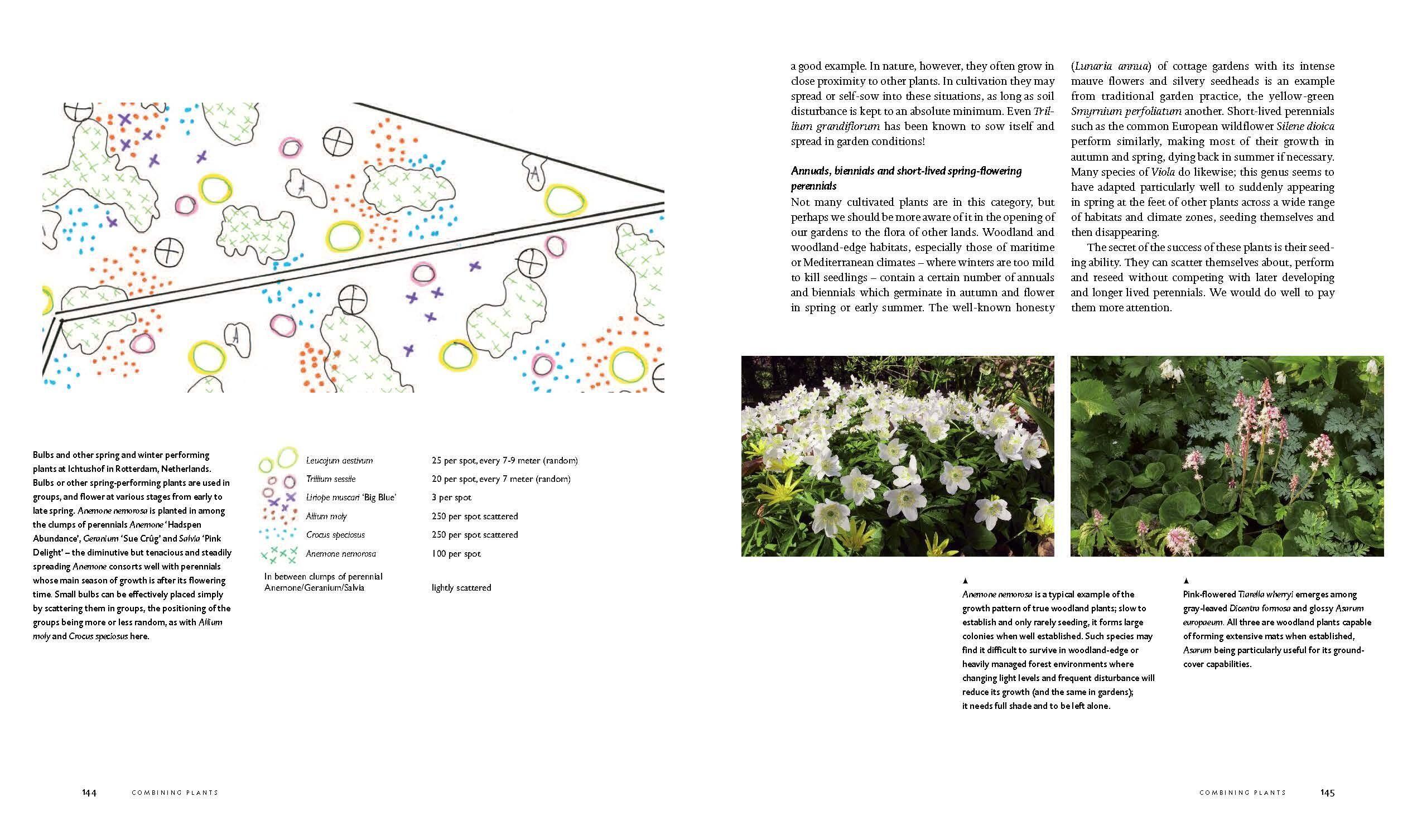 Beispielinhalt (Bild) Planting