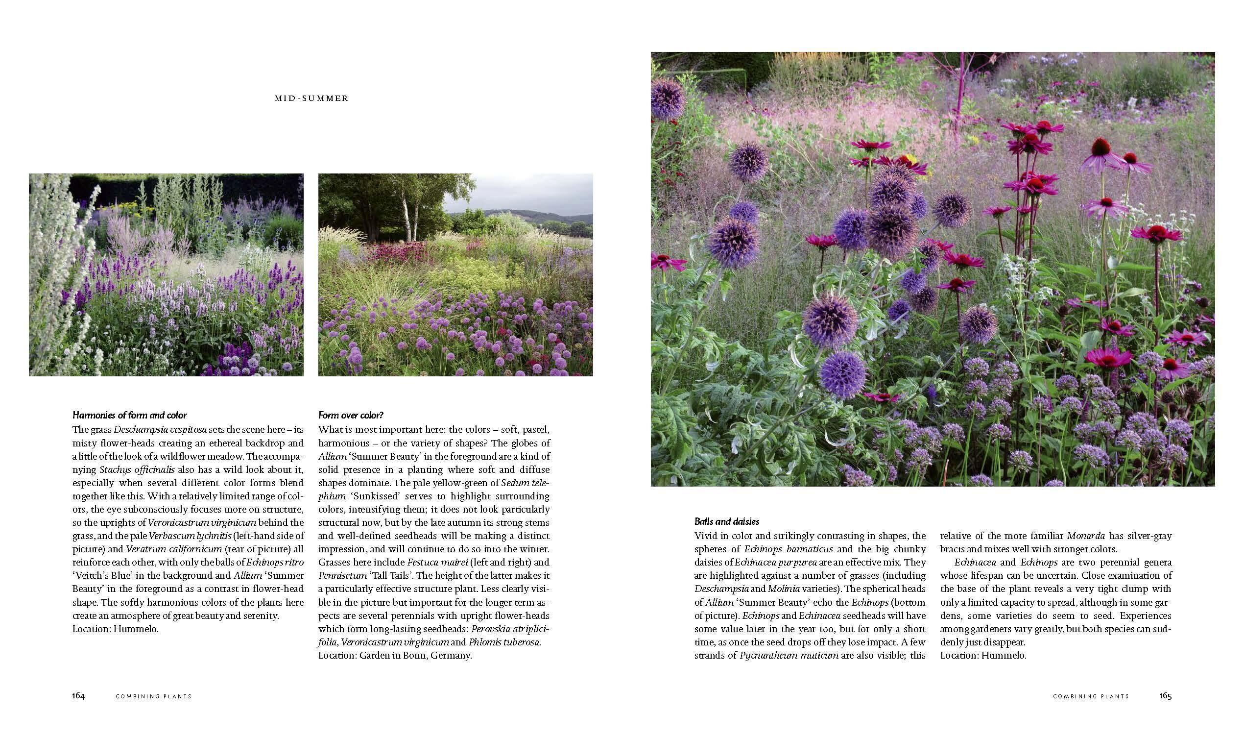 Beispielinhalt (Bild) Planting