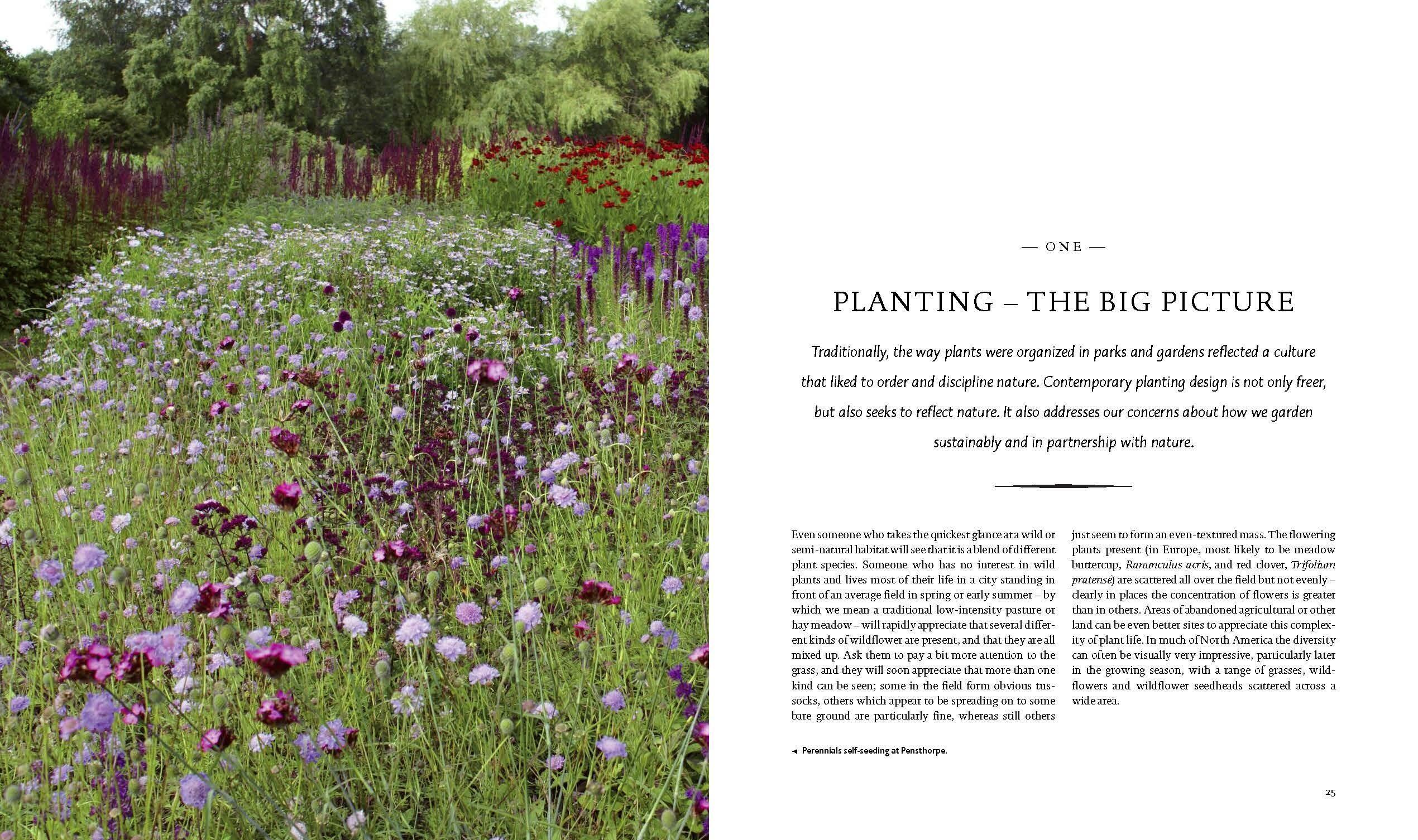 Beispielinhalt (Bild) Planting