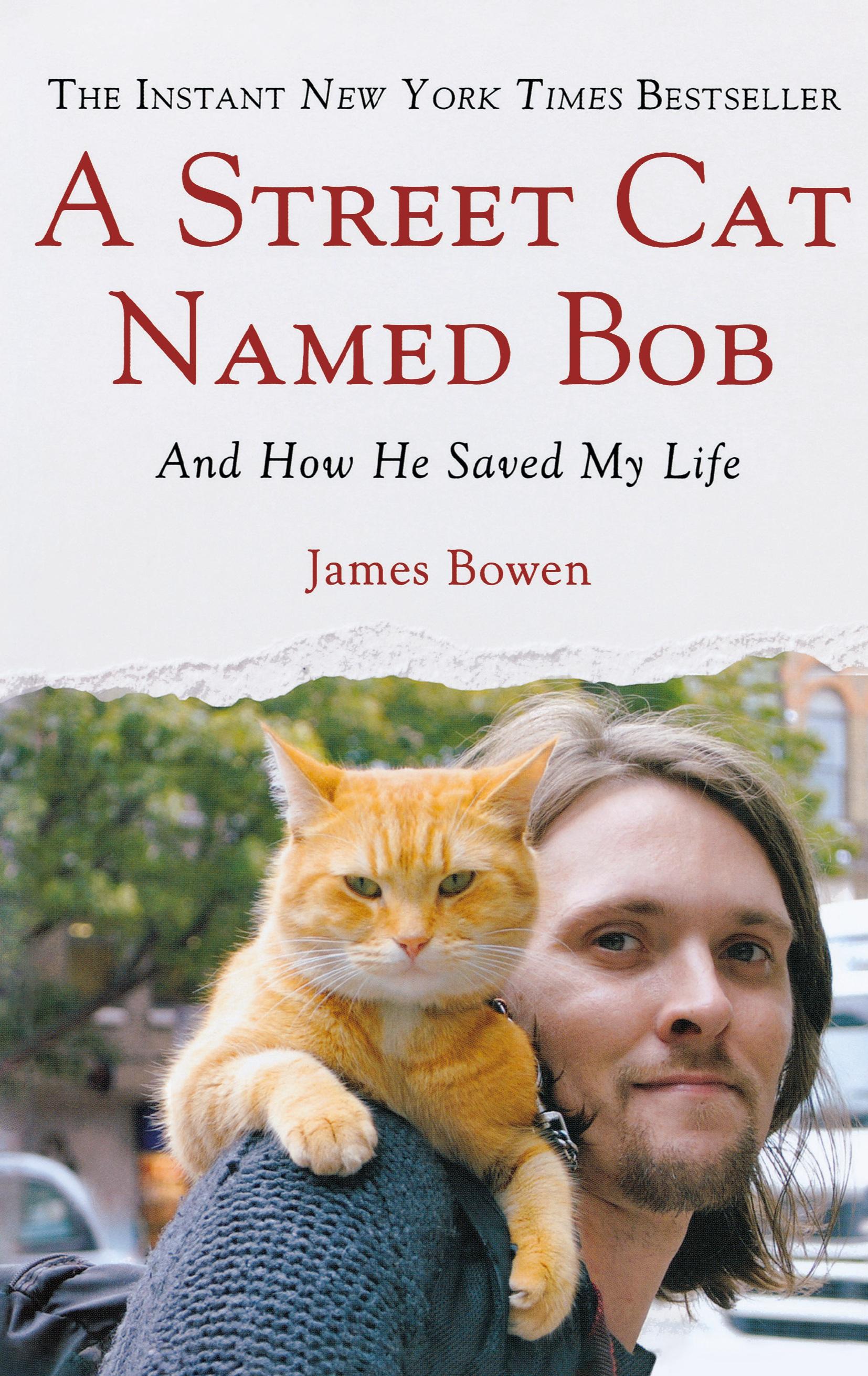 Vorderes Coverbild Street Cat Named Bob