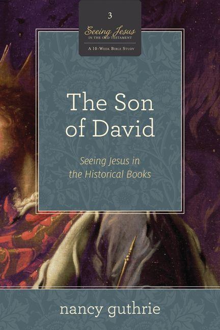 Vorderes Coverbild The Son of David