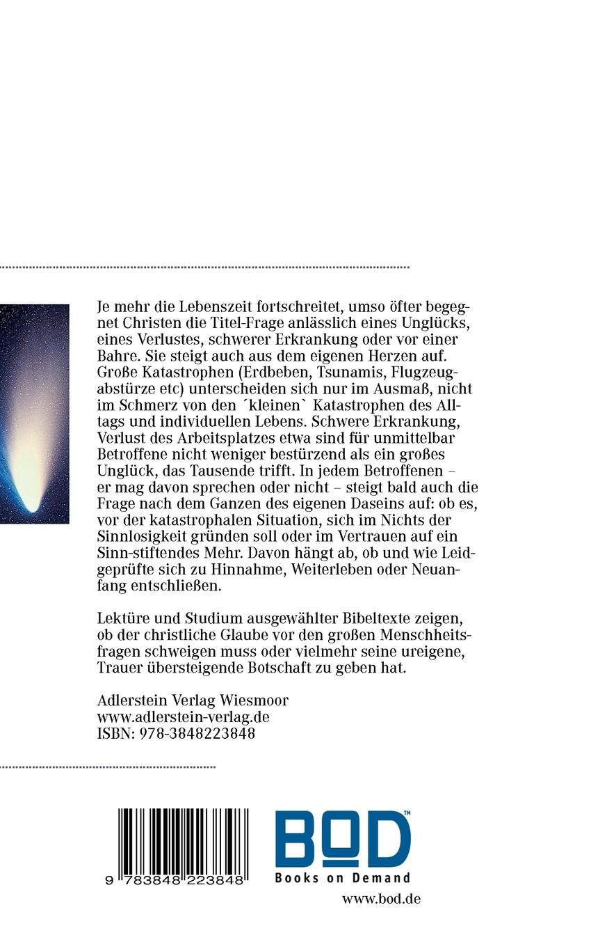 Rückseitencover Begegnet Gott im Schicksal?