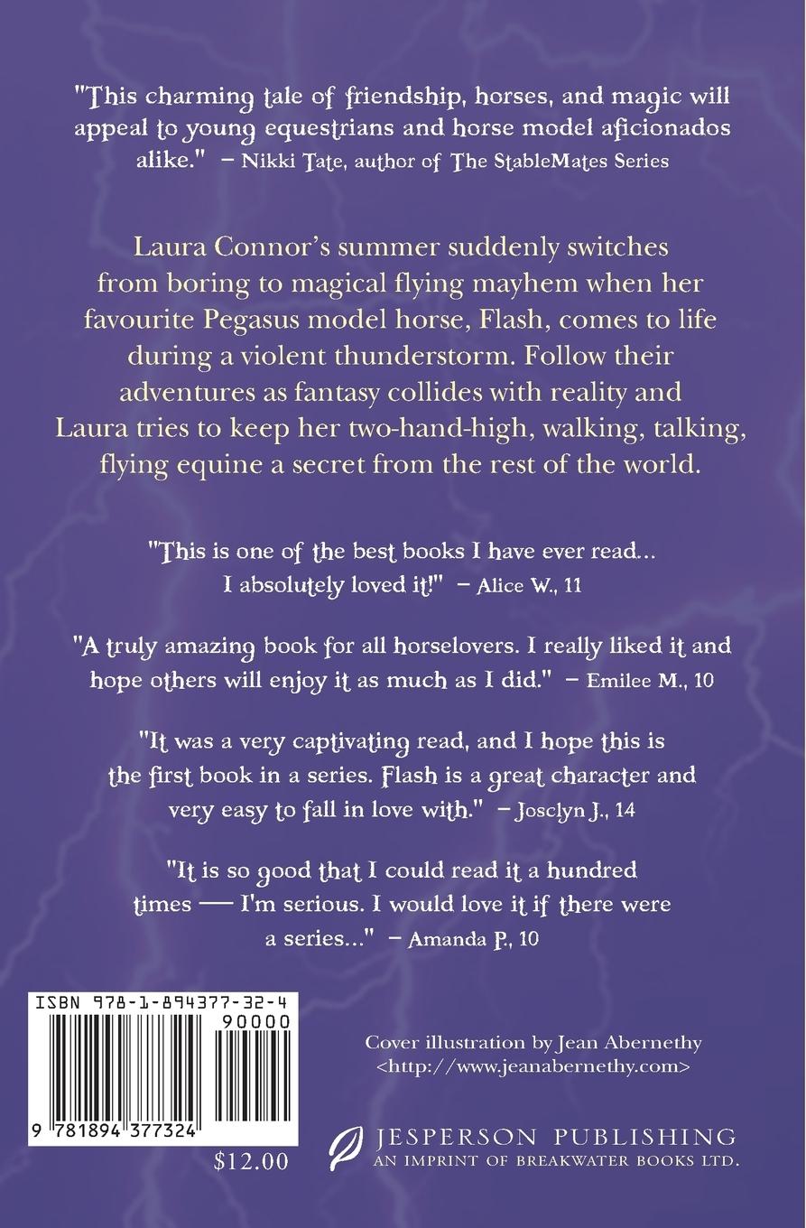 Rückseitencover Pocket Pegasus