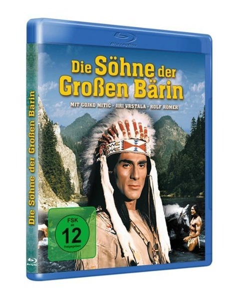 Vorderes Coverbild Die Söhne der großen Bärin