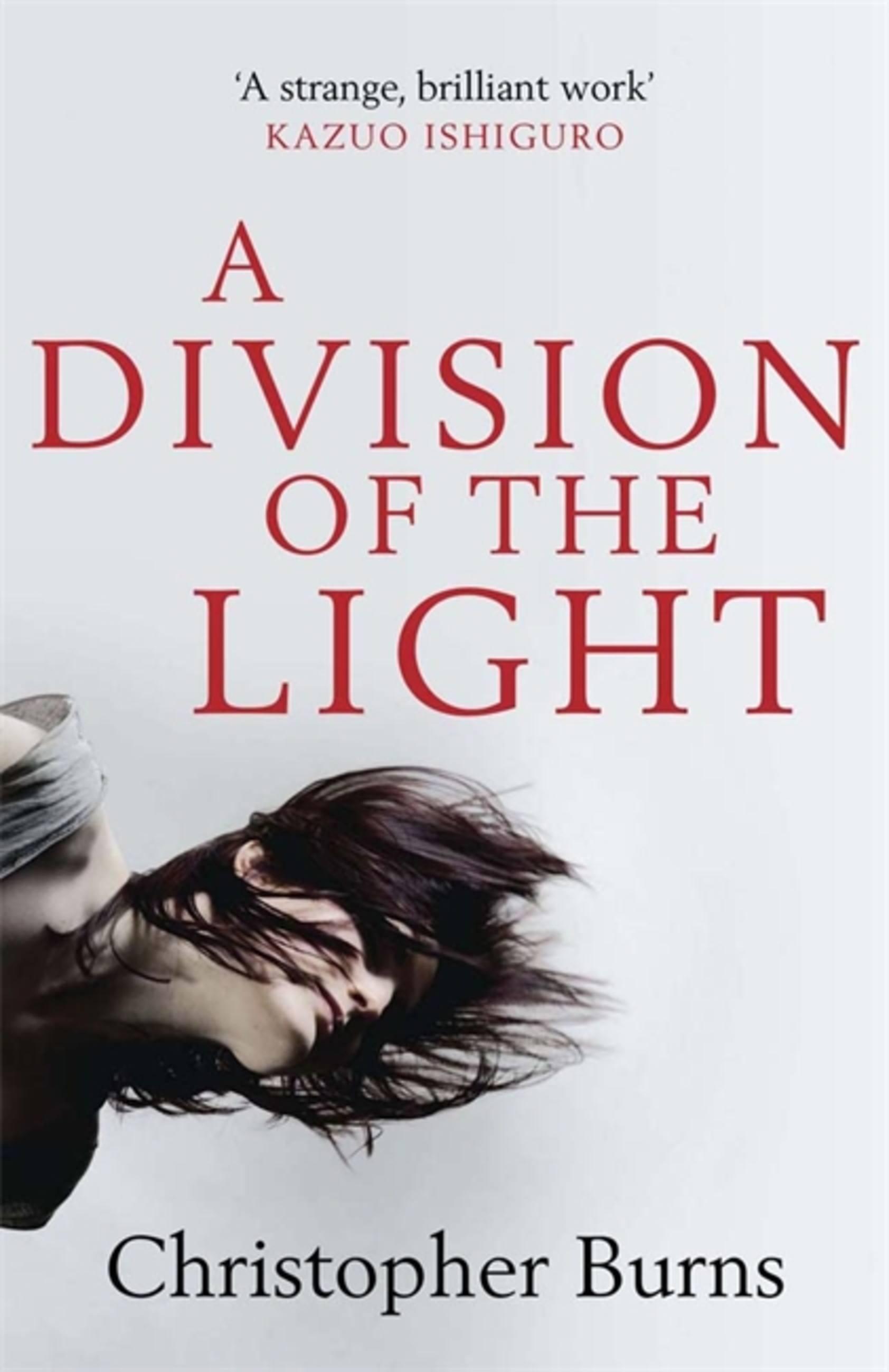 Vorderes Coverbild A Division of the Light