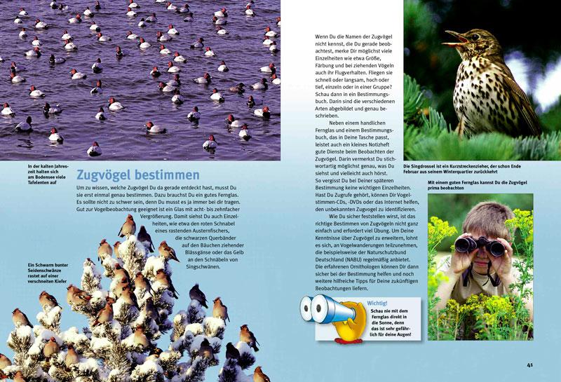 Beispielinhalt (Bild) Entdecke die Zugvögel