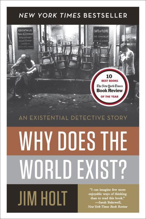 Vorderes Coverbild Why Does the World Exist?: An Existential Detective Story