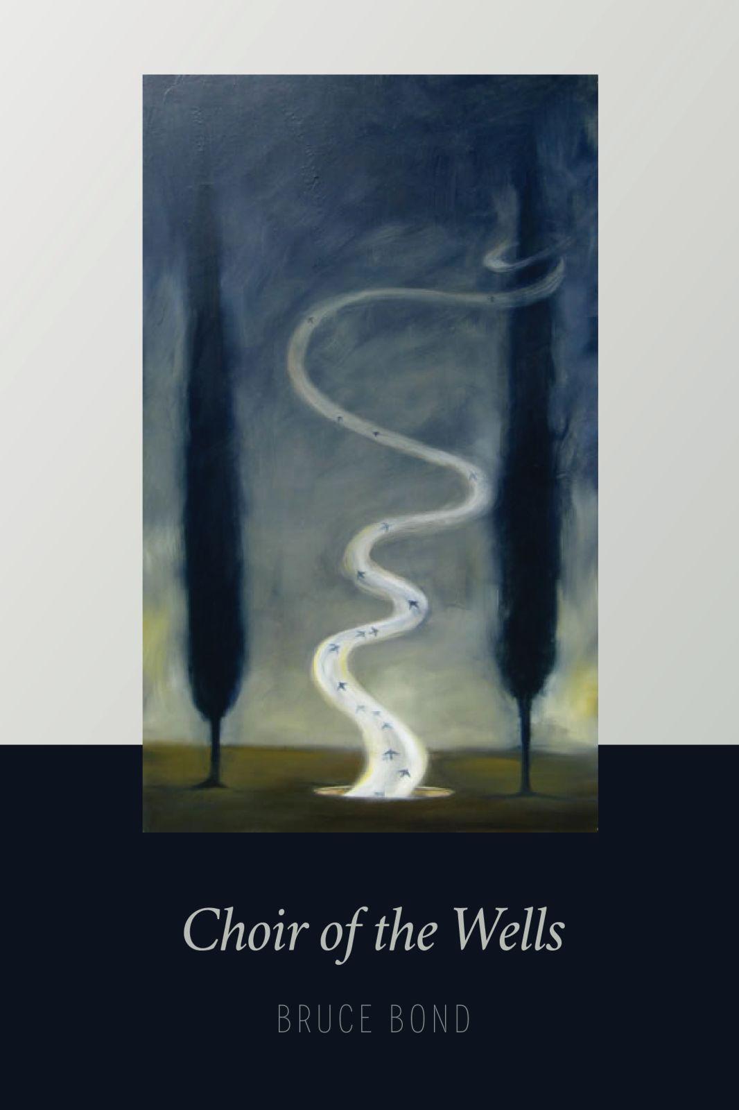 Vorderes Coverbild Choir of the Wells