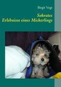 Vorderes Coverbild Sokrates