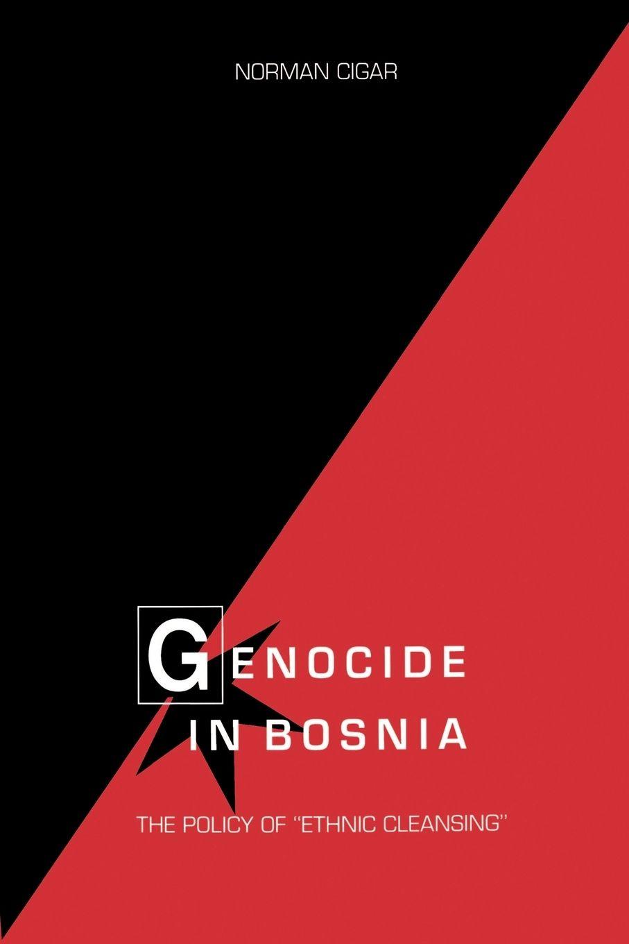 Vorderes Coverbild Genocide in Bosnia