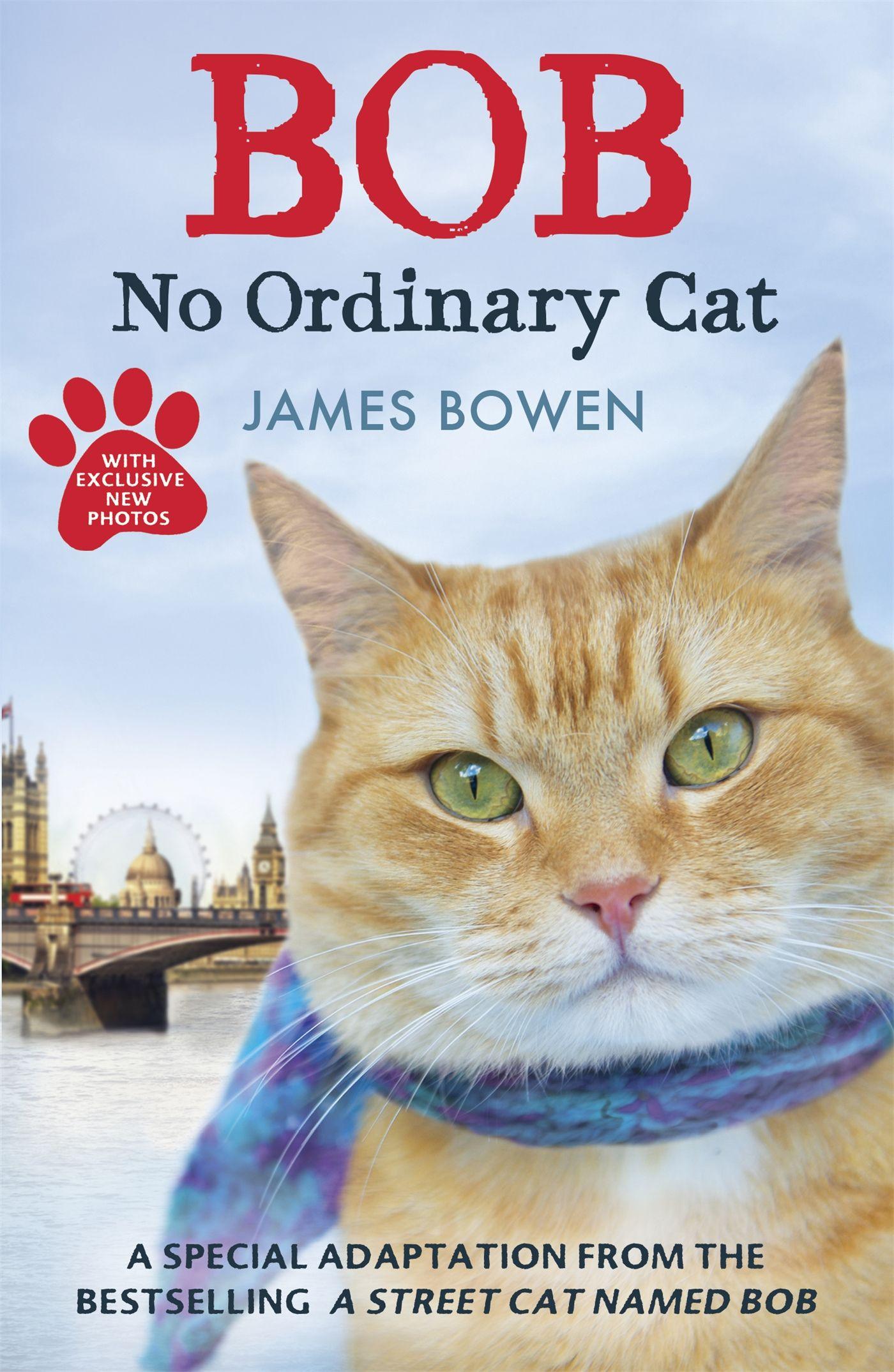Vorderes Coverbild Bob - No Ordinary Cat