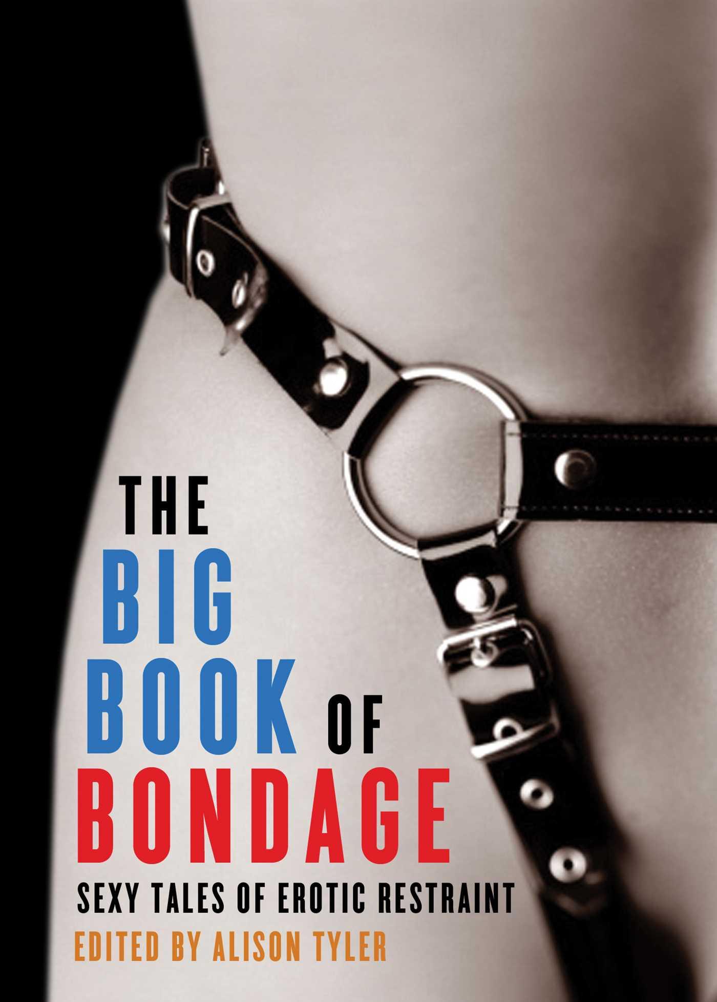 Vorderes Coverbild Big Book of Bondage