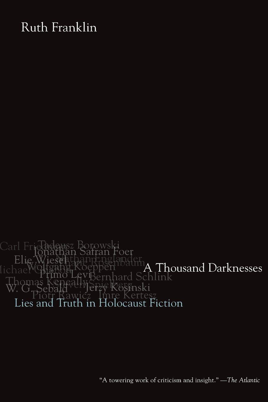 Vorderes Coverbild A Thousand Darknesses