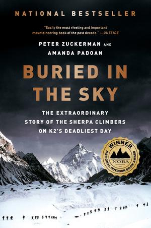 Vorderes Coverbild Buried in the Sky