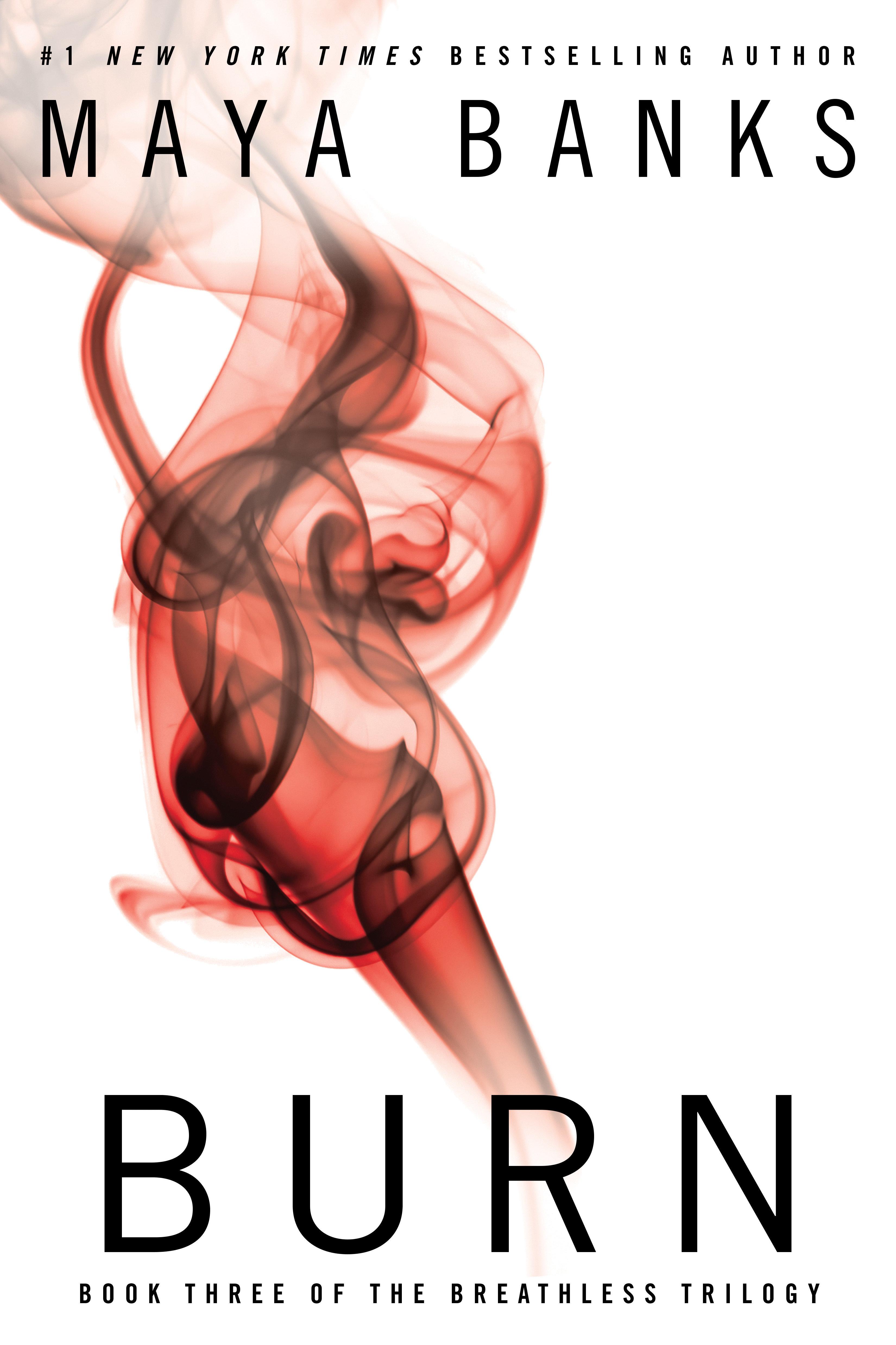 Vorderes Coverbild Breathless Trilogy 3. Burn