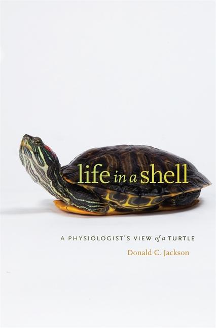 Vorderes Coverbild Life in a Shell