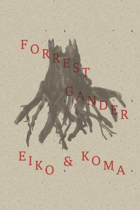 Vorderes Coverbild Eiko and Koma