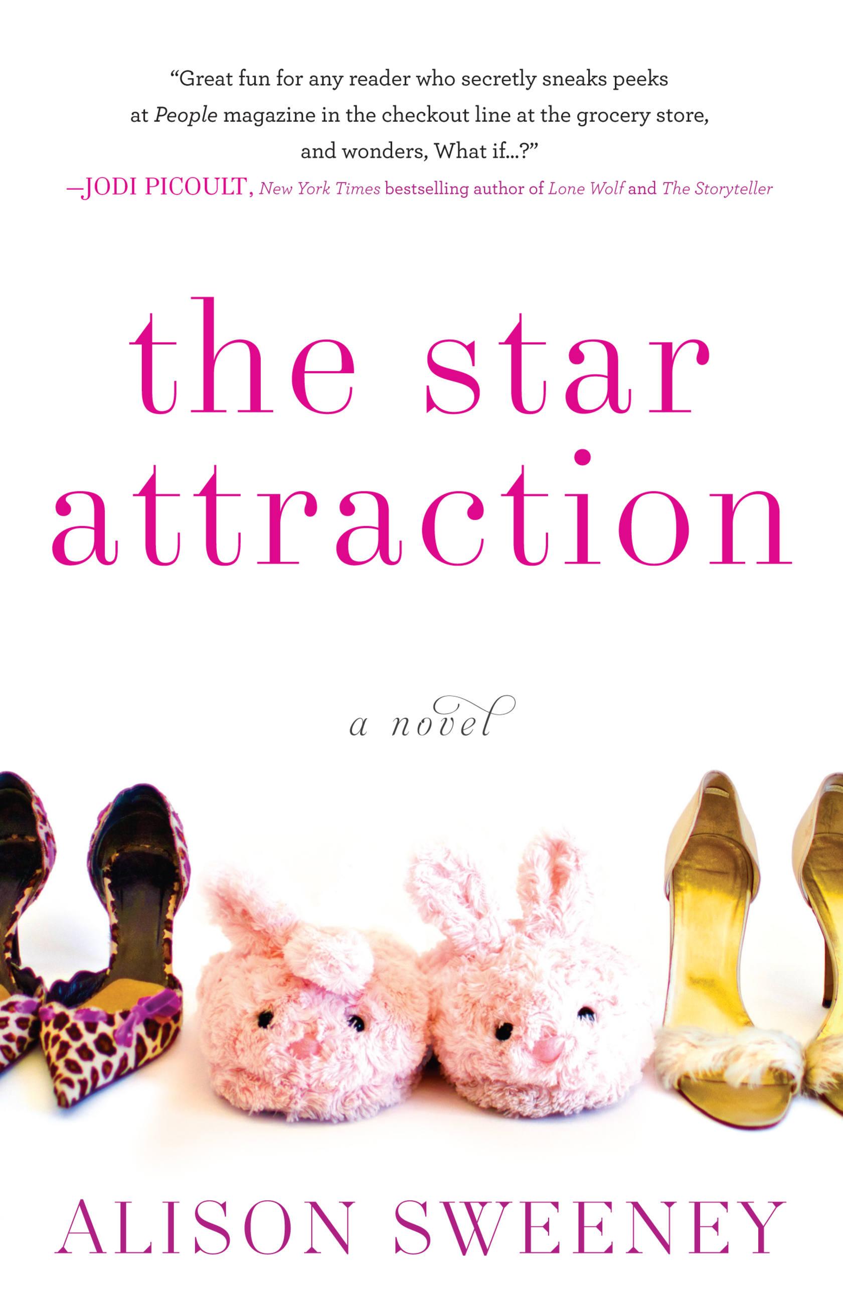 Vorderes Coverbild The Star Attraction