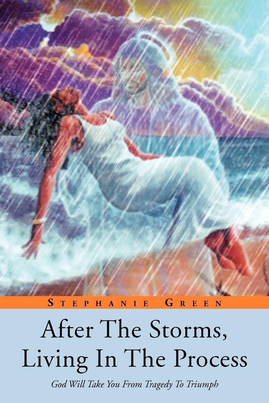 Vorderes Coverbild After the Storms, Living in the Process