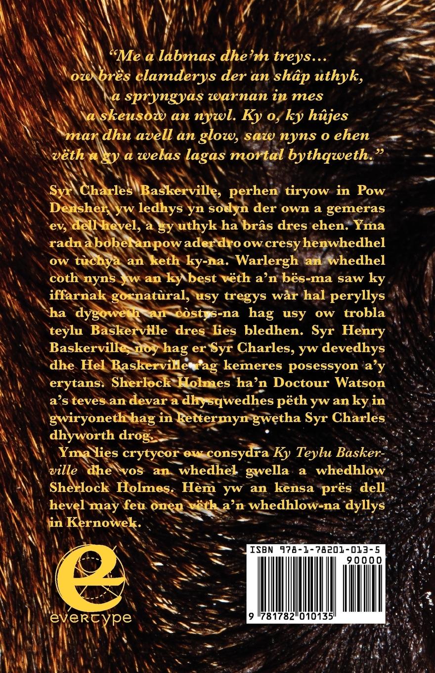 Rückseitencover Ky Teylu Baskerville