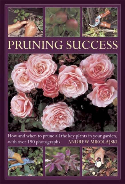 Vorderes Coverbild Pruning Success