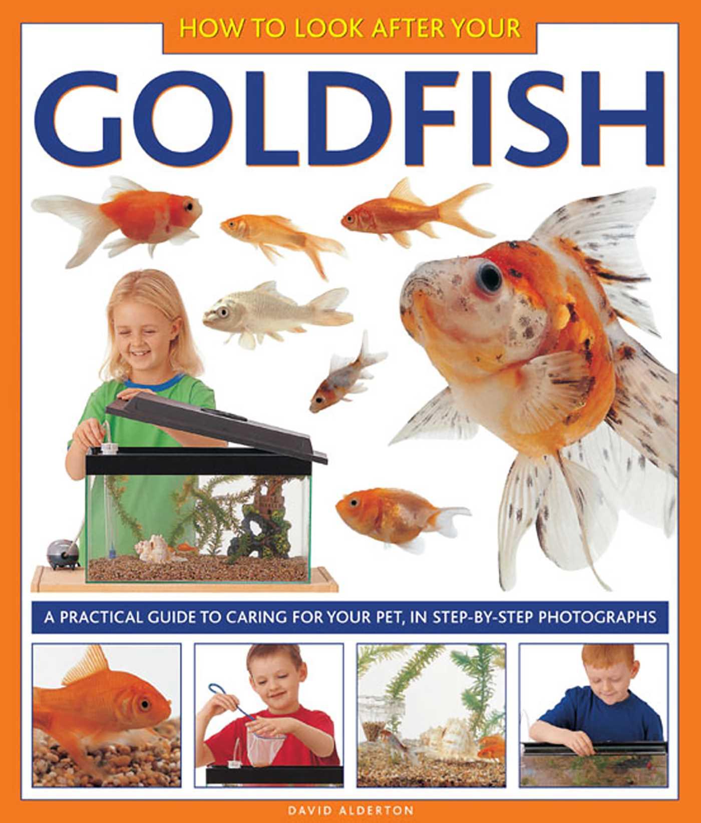 Vorderes Coverbild How to Look After Your Goldfish