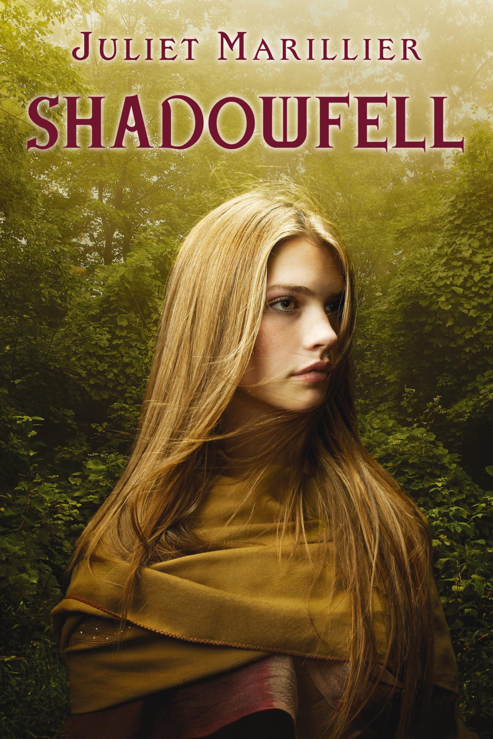 Vorderes Coverbild Shadowfell