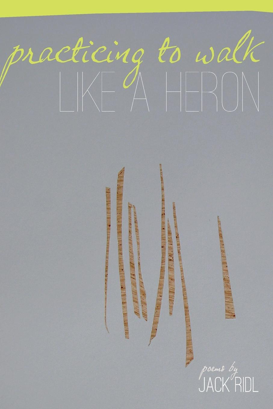 Vorderes Coverbild Practicing to Walk Like a Heron