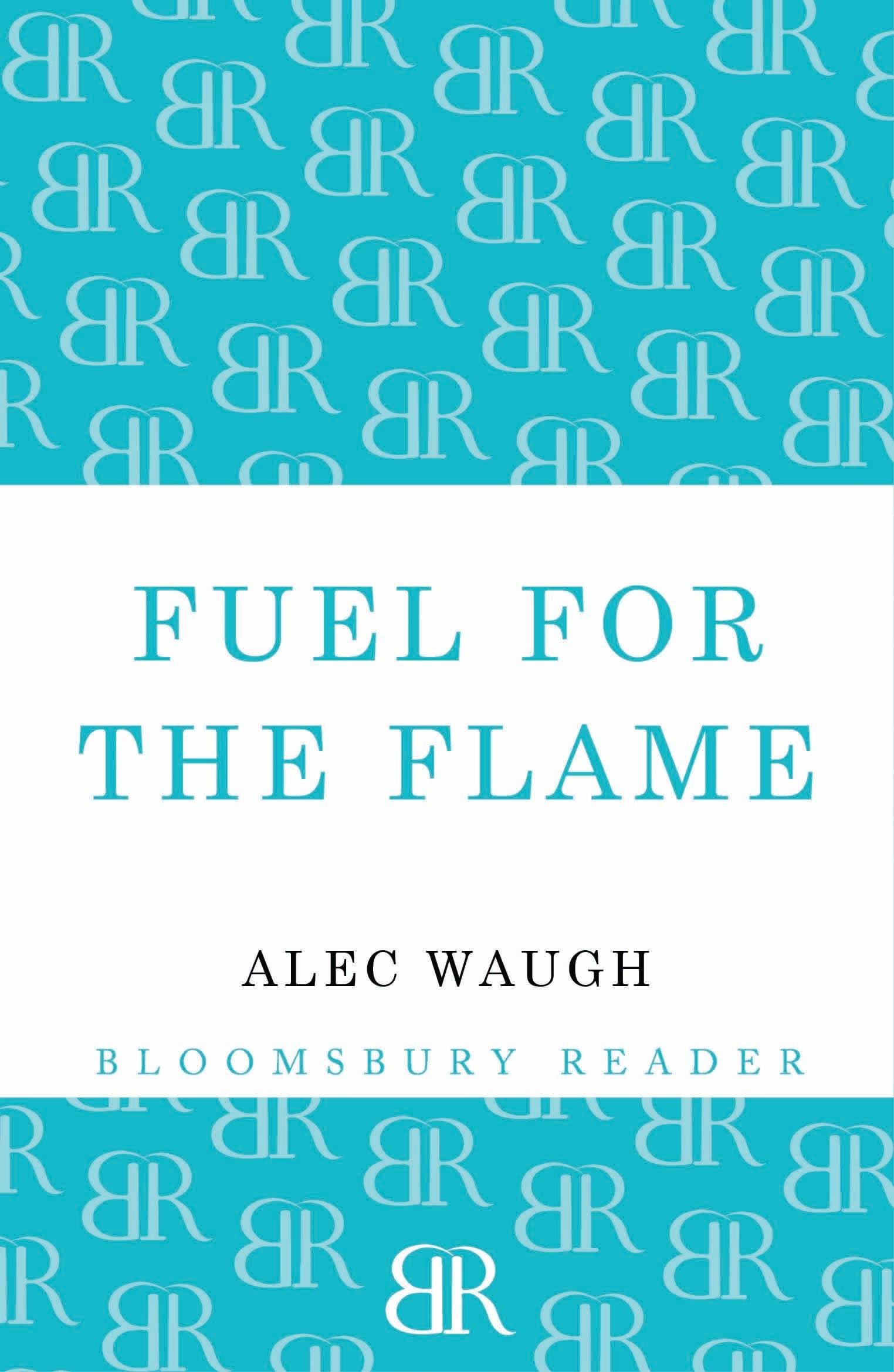 Vorderes Coverbild Fuel for the Flame