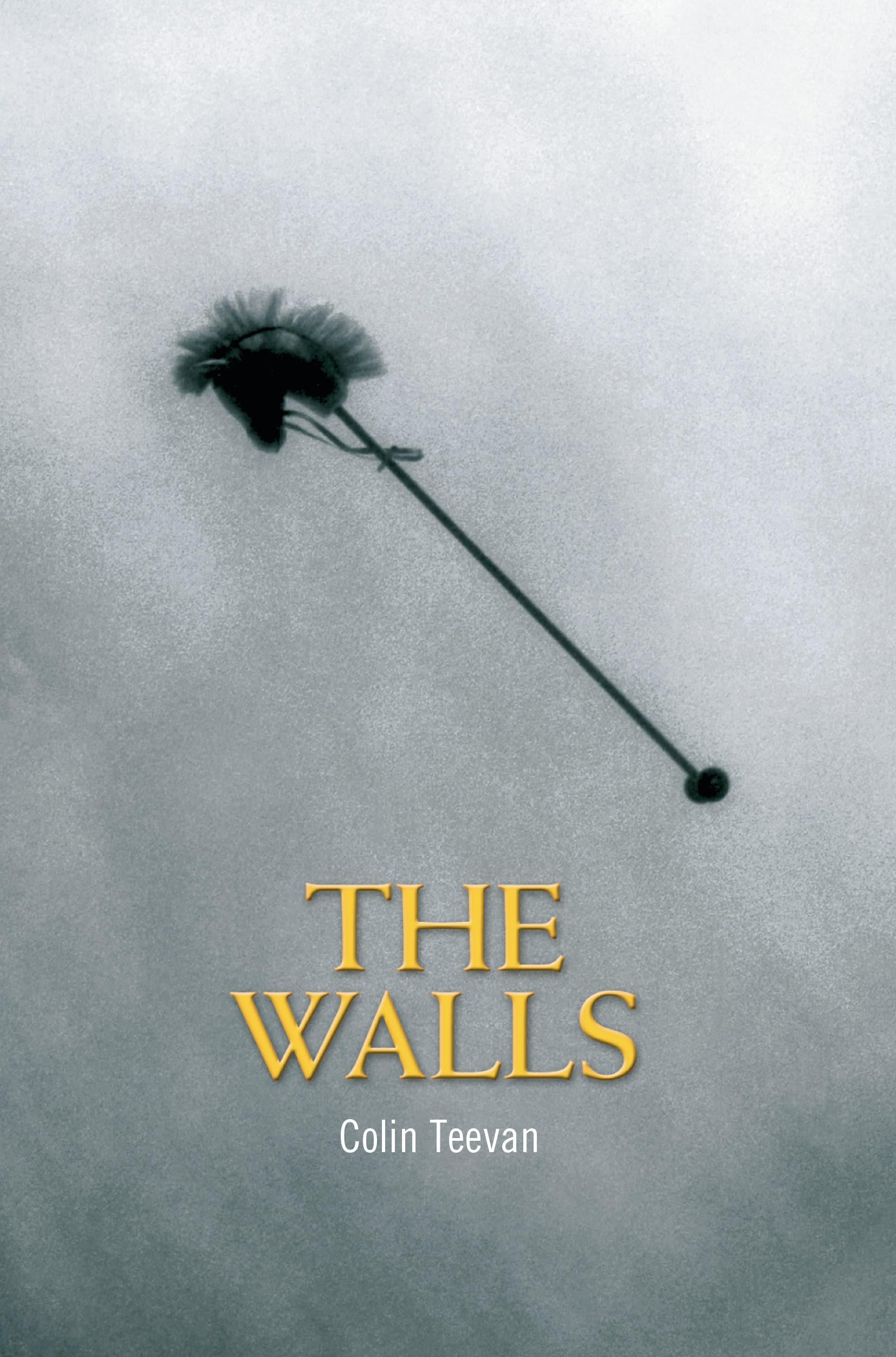 Vorderes Coverbild The Walls