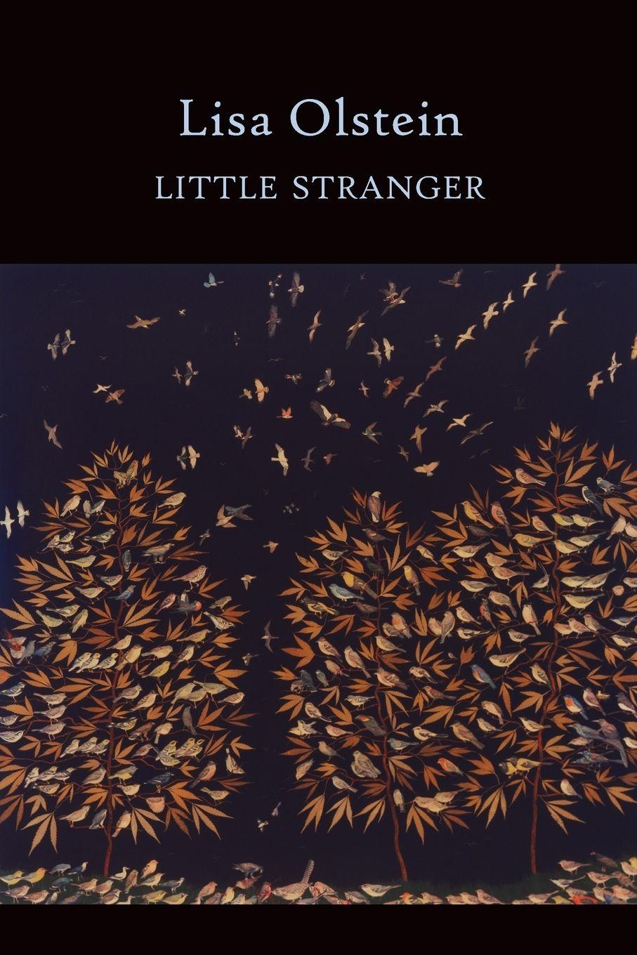 Vorderes Coverbild Little Stranger