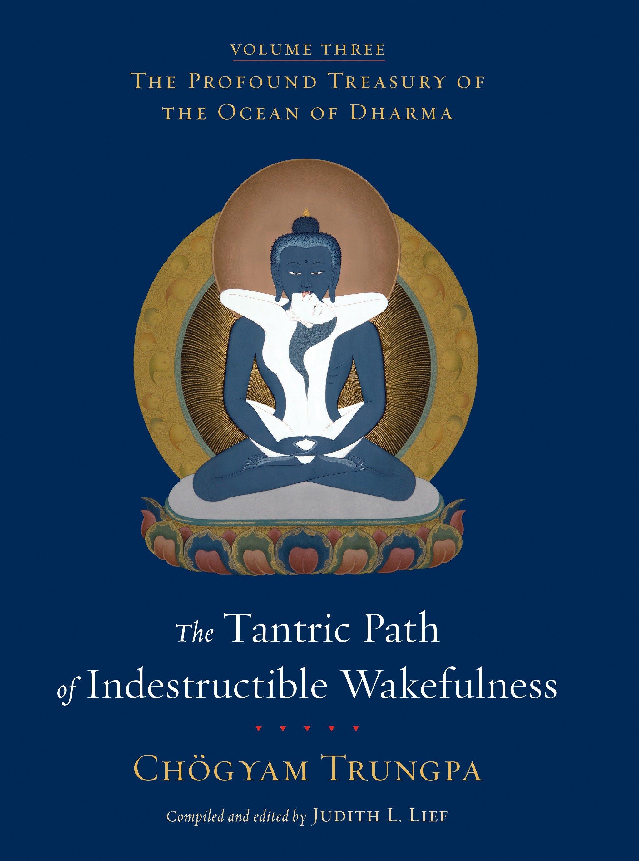 Vorderes Coverbild The Tantric Path of Indestructible Wakefulness
