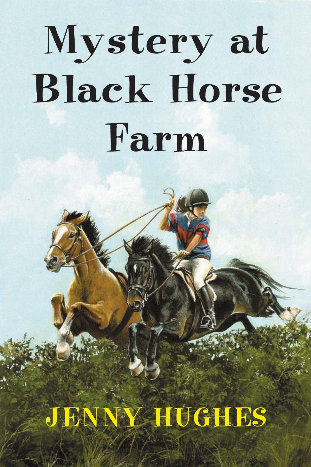 Vorderes Coverbild Mystery at Black Horse Farm
