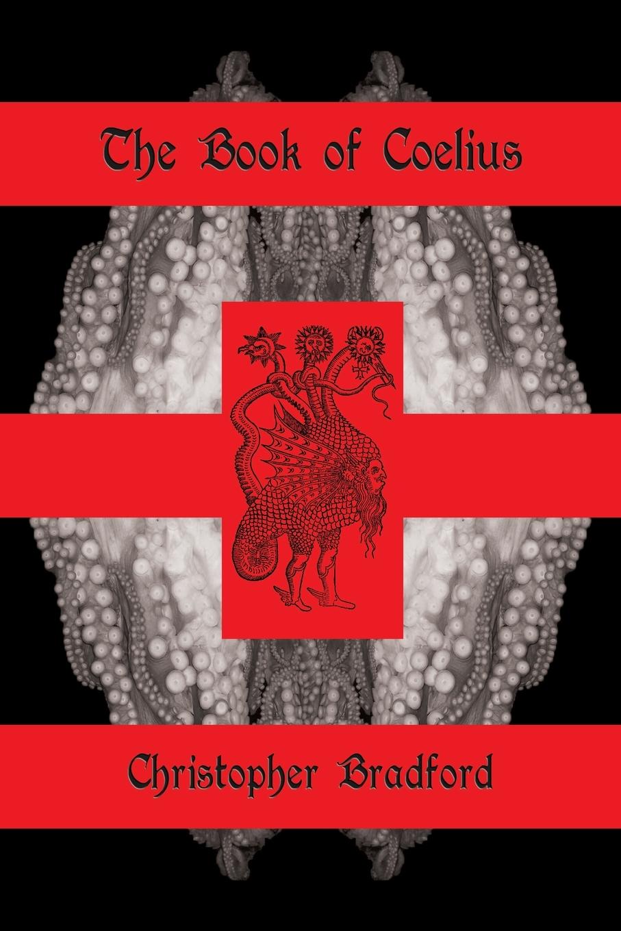 Vorderes Coverbild The Book of Coelius