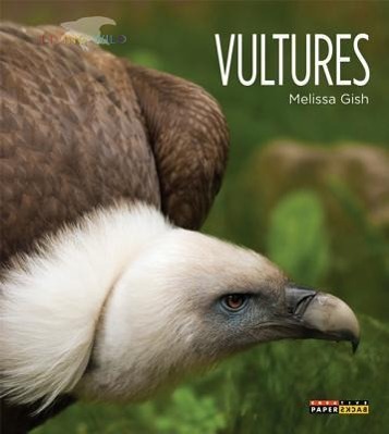 Vorderes Coverbild Vultures