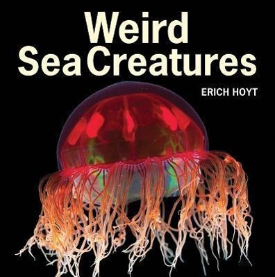 Vorderes Coverbild Weird Sea Creatures