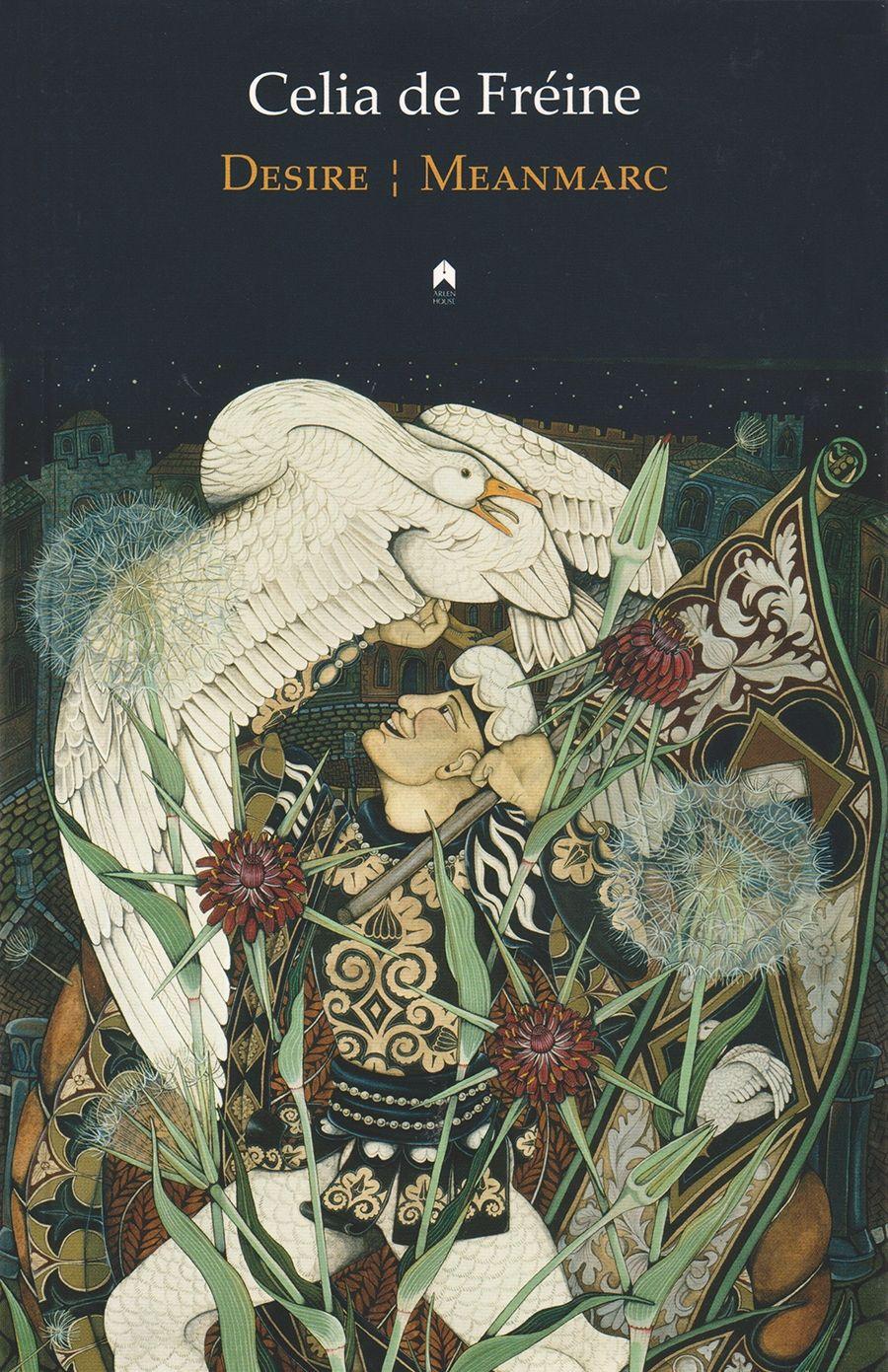 Vorderes Coverbild Desire / Meanmarc