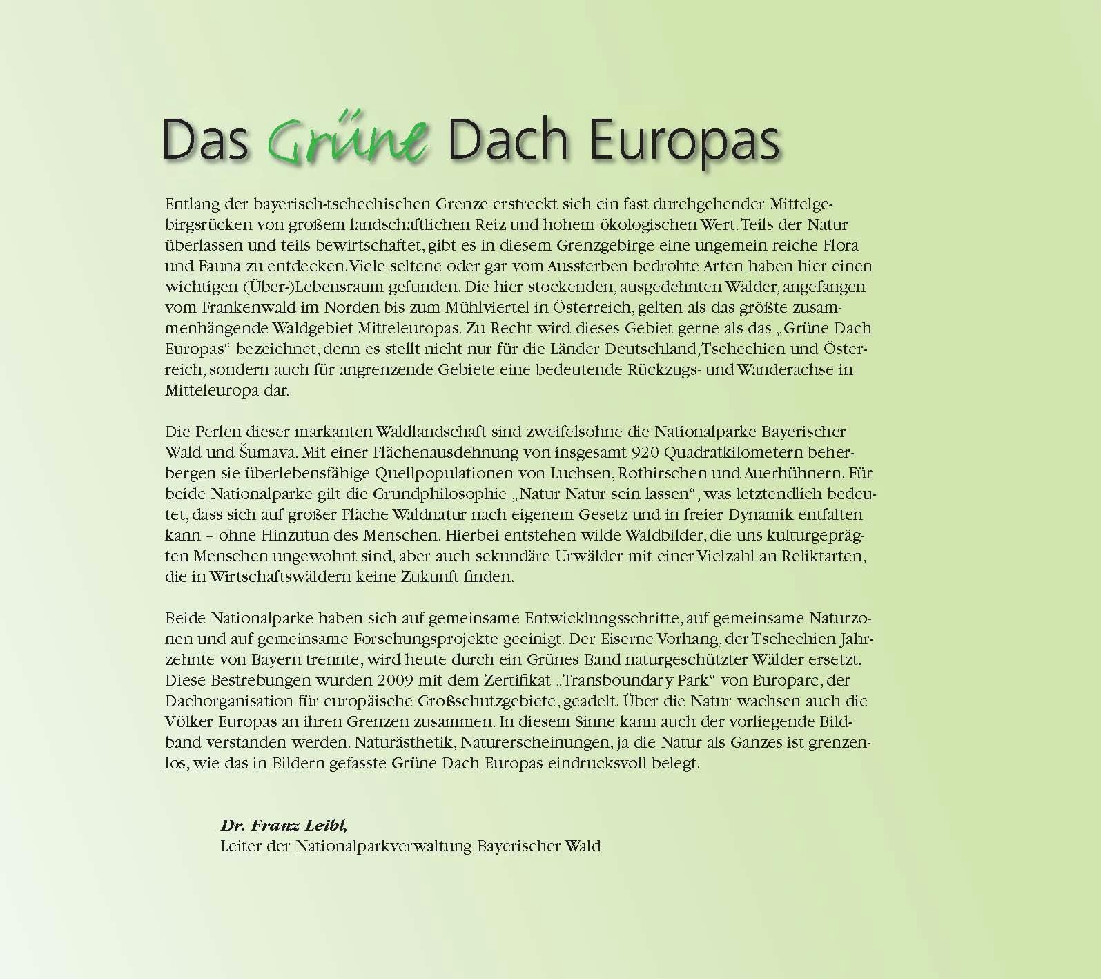 Beispielinhalt (Bild) Das grüne Dach