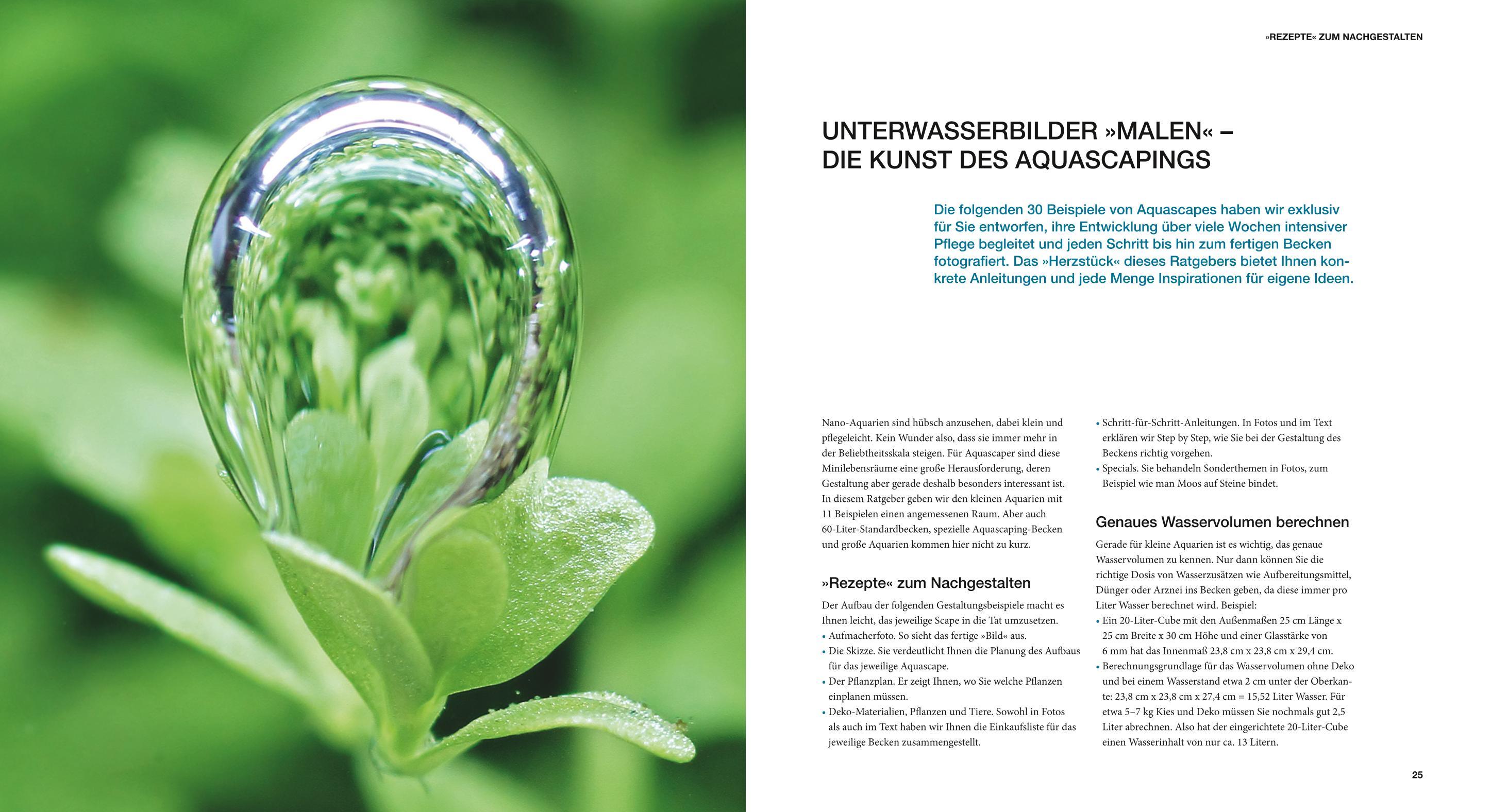 Beispielinhalt (Bild) Aquascaping
