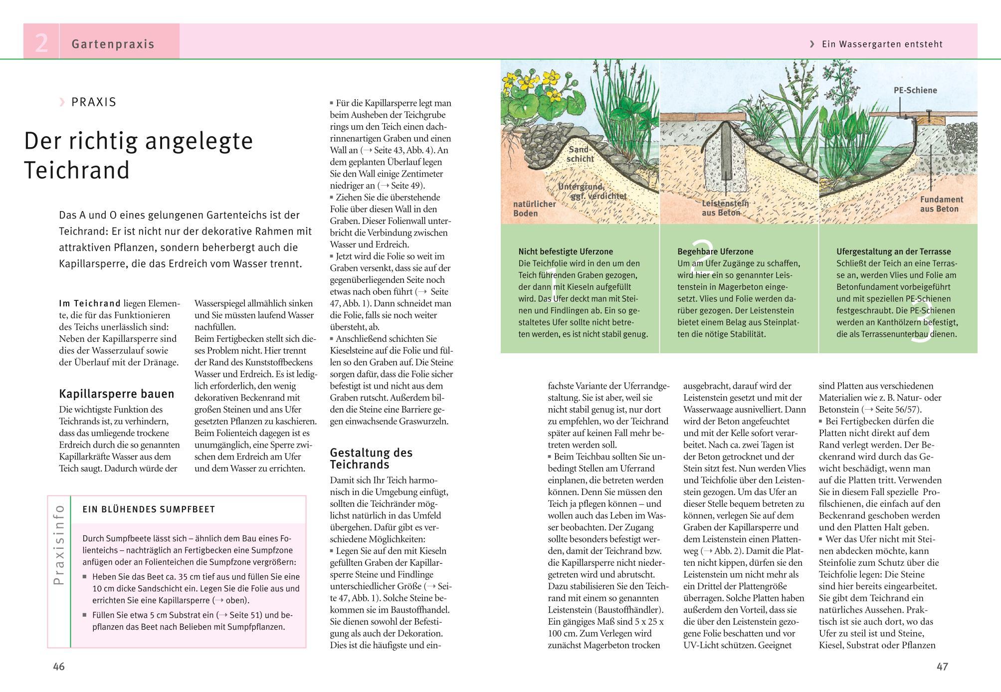 Beispielinhalt (Bild) Gartenteiche anlegen und gestalten