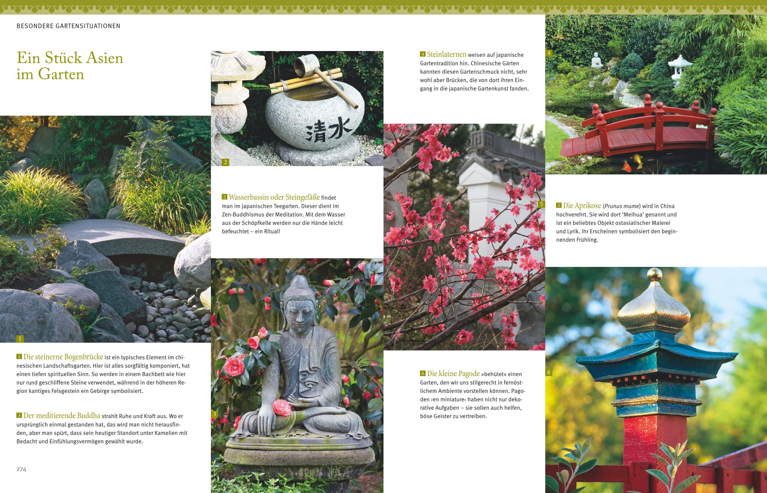 Beispielinhalt (Bild) Gärten gestalten