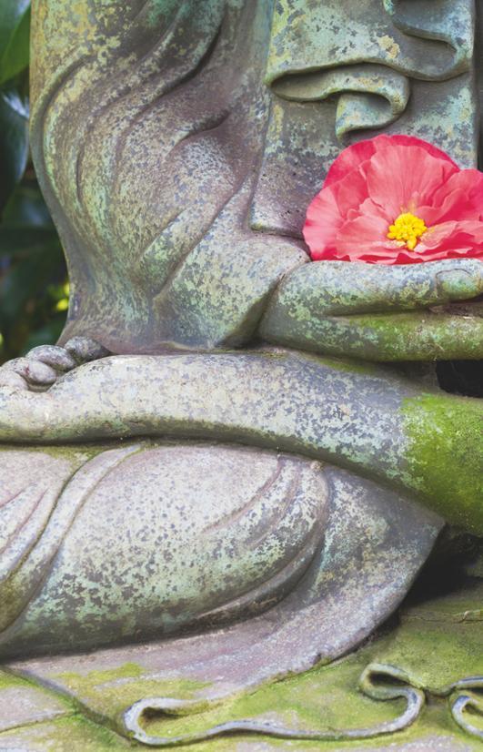 Beispielinhalt (Bild) Der kleine Alltagsbuddhist